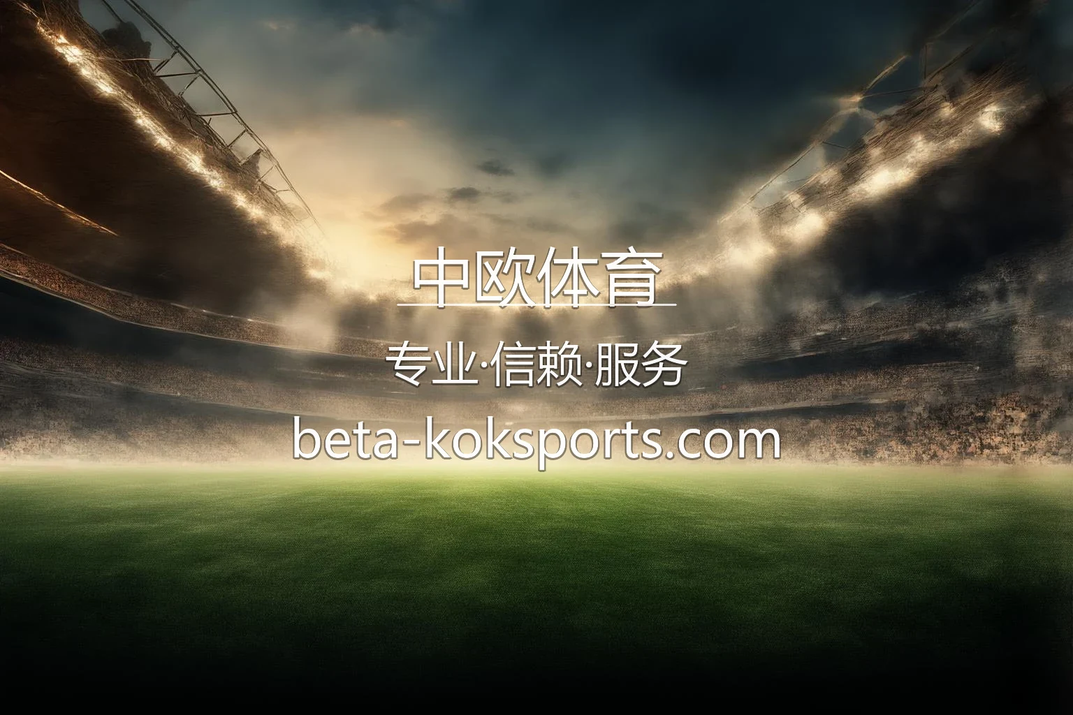 中欧体育官网入口：赛事直播与官方认证 | 中欧体育 英雄图
